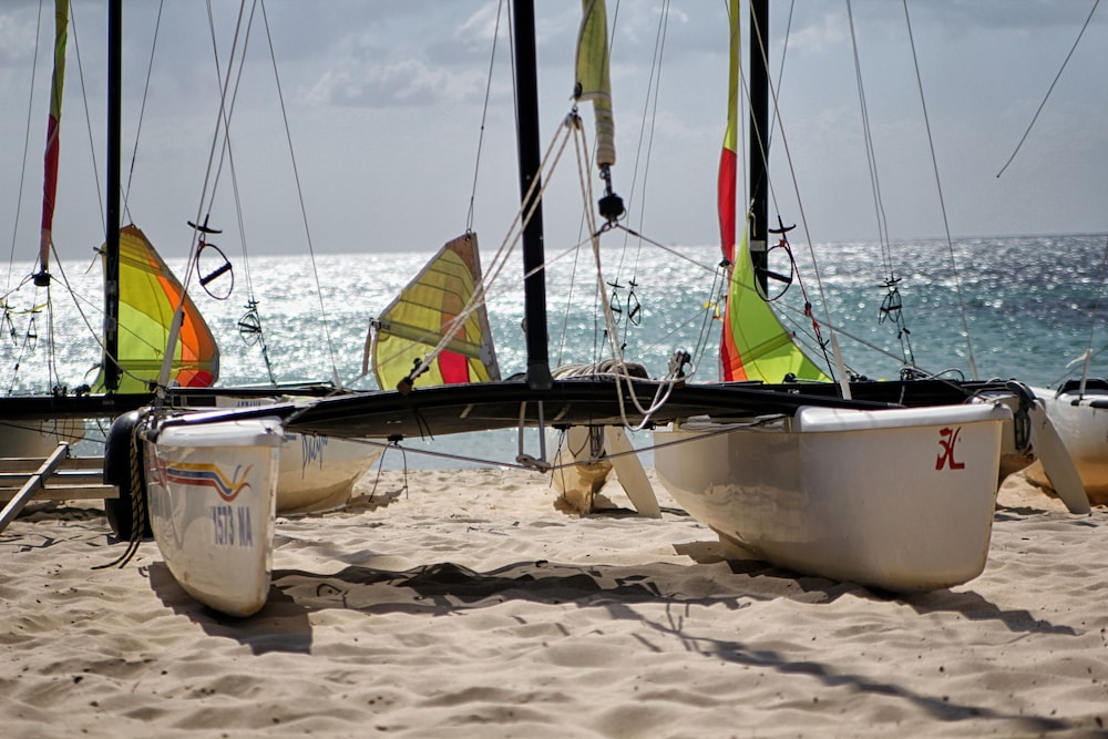 CALIMERA Delfino Beach Resort & Spa - All inclusive — Beach in Hammamet, Nabeul
