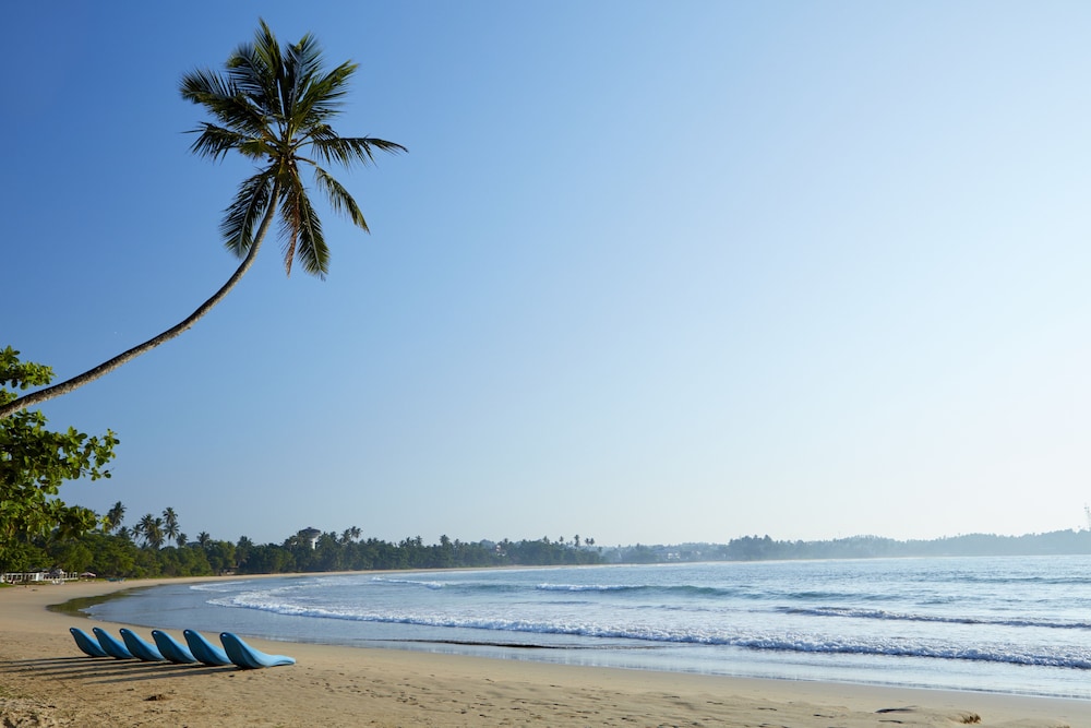 Dickwella Resort and Spa — Beach in Dickwella