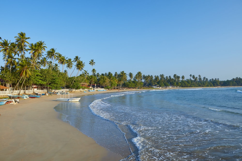 Dickwella Resort and Spa — Beach in Dickwella