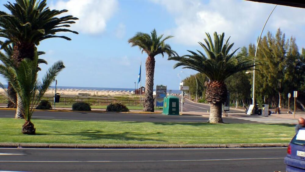 Palm Garden Apartments — View in Esquinzo, Canary Islands
