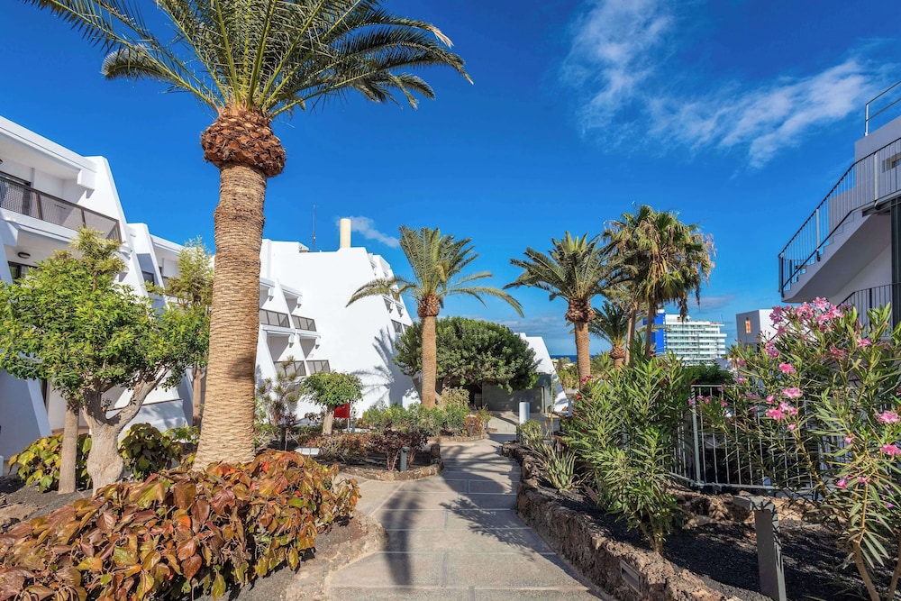 Sol Fuerteventura Jandia - All Suites — Hotel building in Esquinzo, Canary Islands