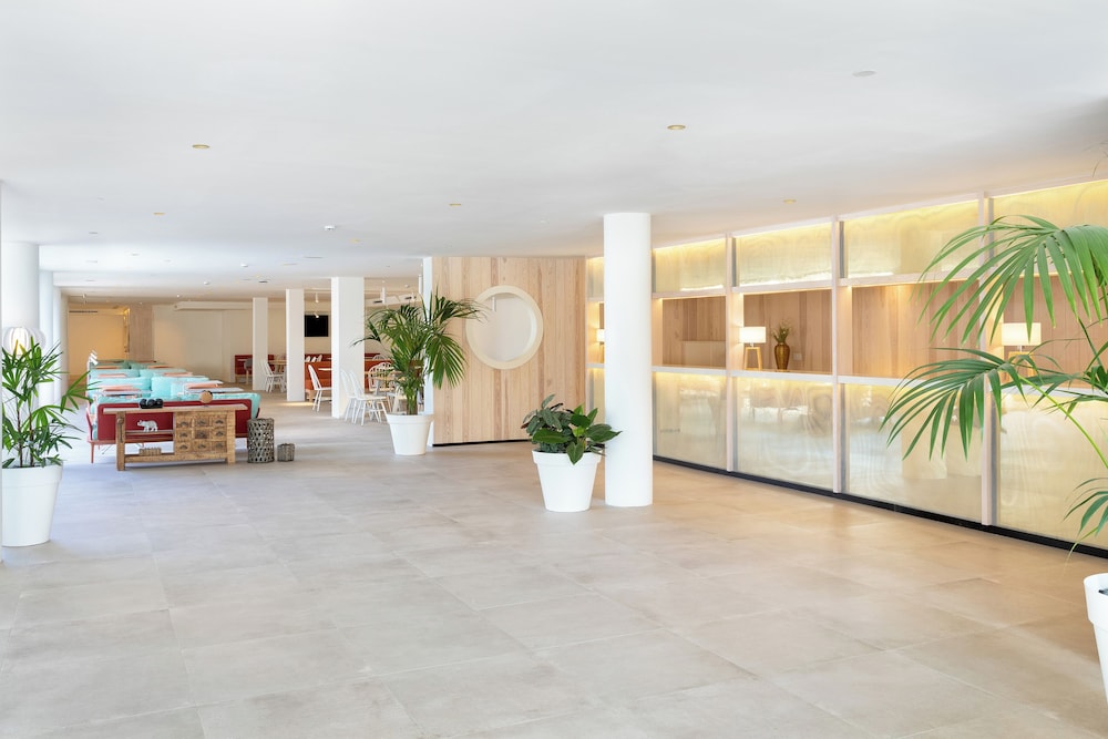 Sol Fuerteventura Jandia - All Suites — Restaurant & bars in Esquinzo, Canary Islands