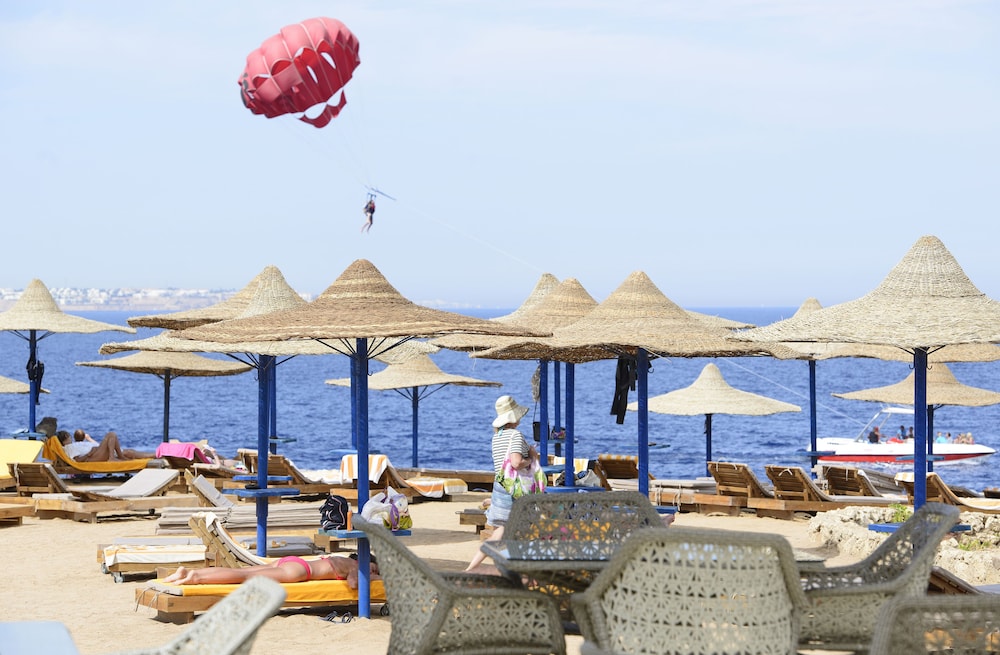 Amphoras Blu Ultra All Inclusive Adults Only — Beach in Sharm El Sheikh, Red Sea