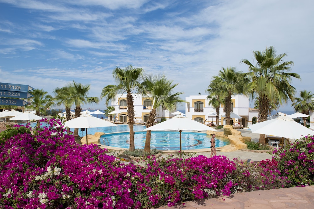 Amphoras Blu Ultra All Inclusive Adults Only — Swimming pool in Sharm El Sheikh, Red Sea