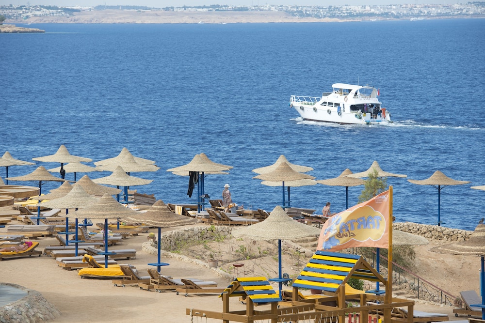 Amphoras Blu Ultra All Inclusive Adults Only — Beach in Sharm El Sheikh, Red Sea