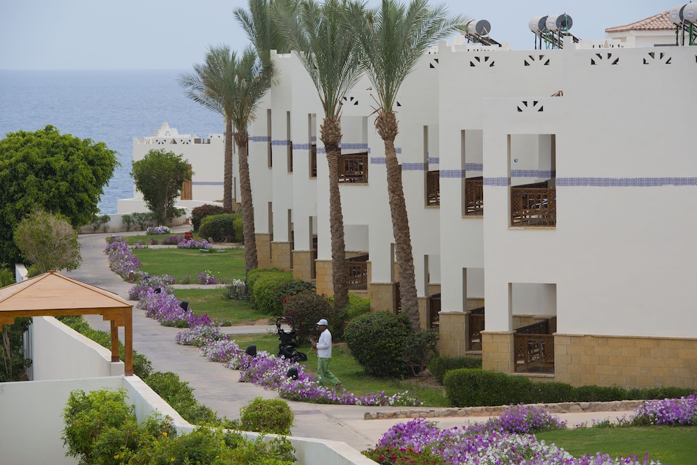 Amphoras Blu Ultra All Inclusive Adults Only — Hotel building in Sharm El Sheikh, Red Sea