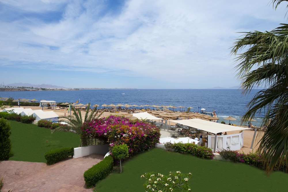 Amphoras Blu Ultra All Inclusive Adults Only — Beach in Sharm El Sheikh, Red Sea