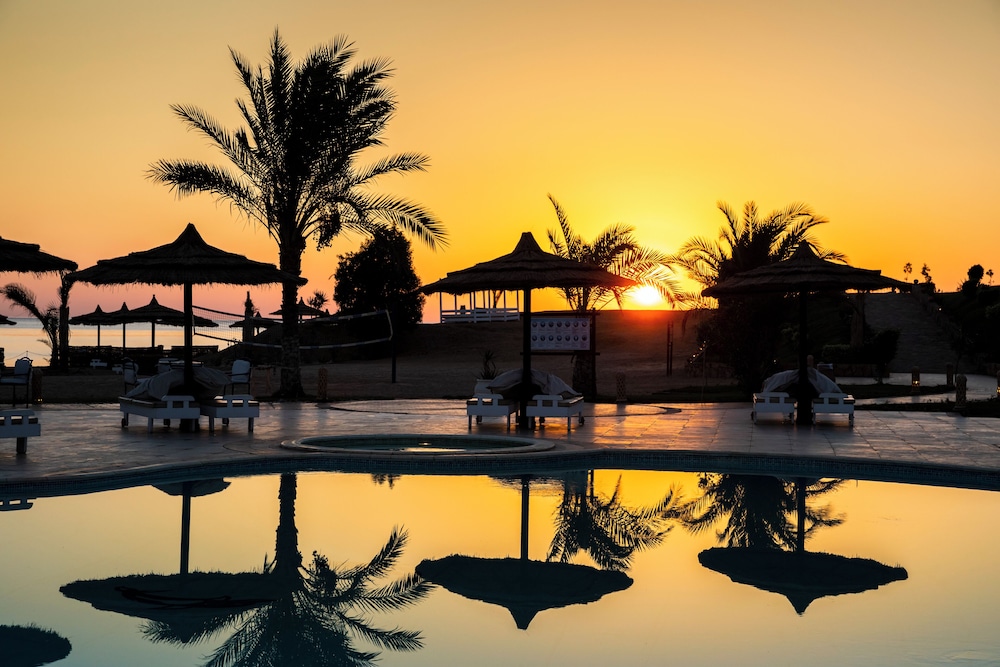 Coral Sun Beach — Swimming pool in El Quseir, Red Sea