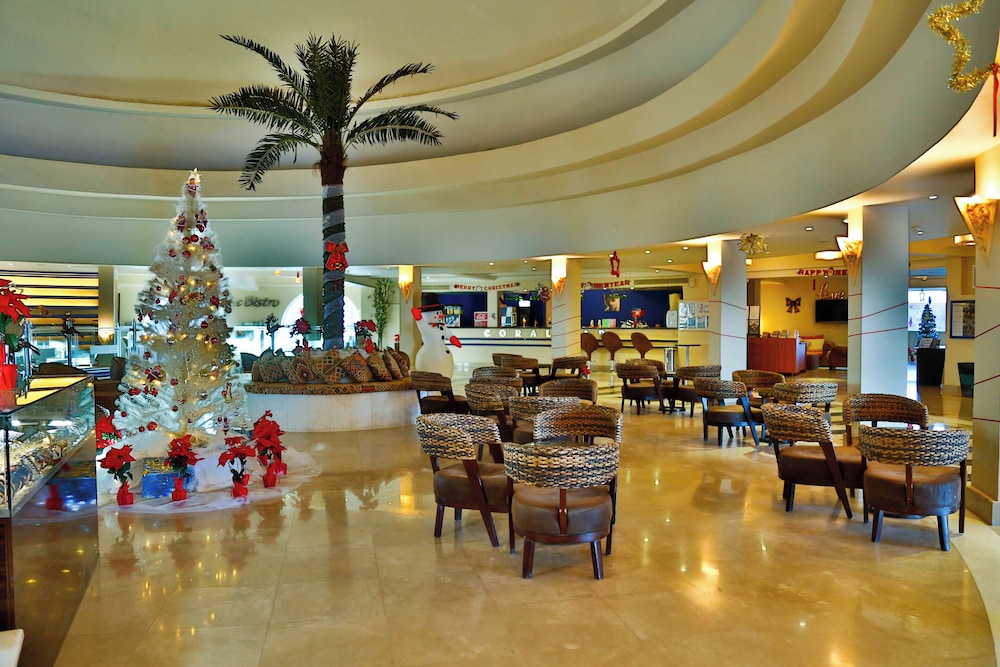 Coral Sun Beach — Restaurant & bars in El Quseir, Red Sea