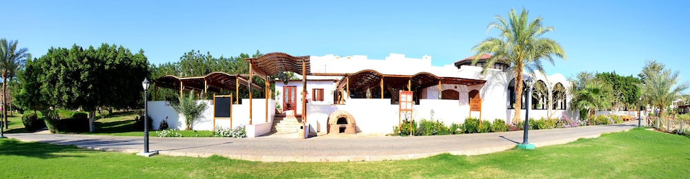 Mövenpick Resort Sharm El Sheik Naama Bay — Restaurant & bars in Sharm El Sheikh, Red Sea