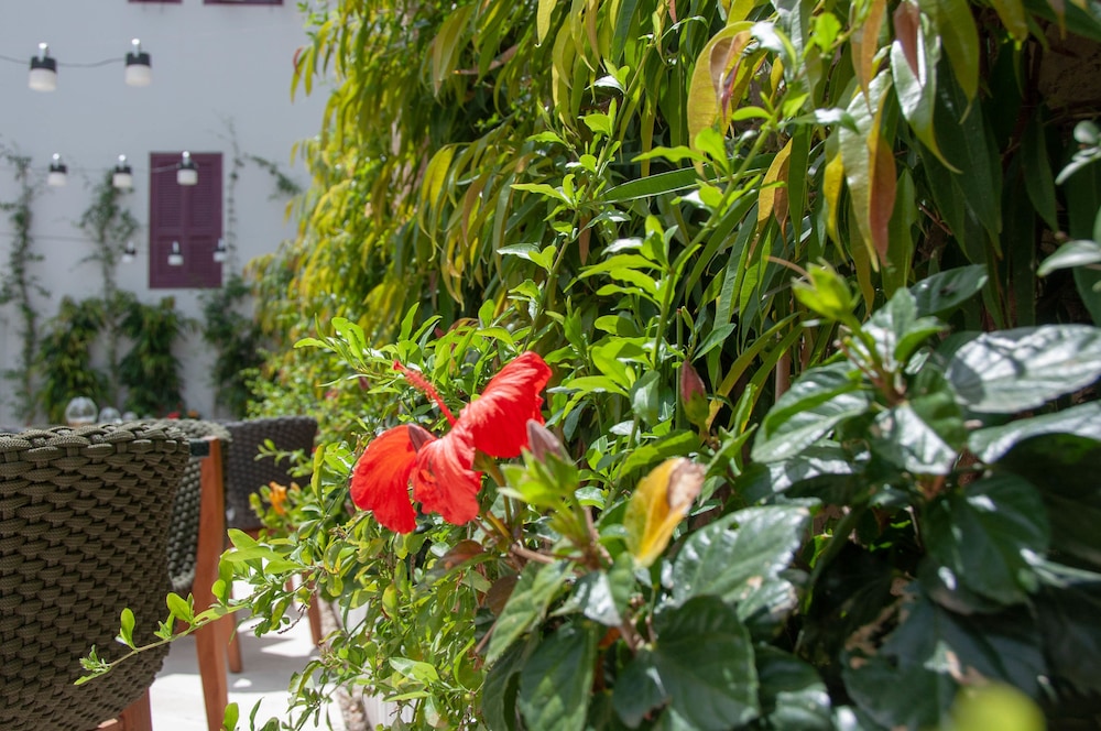 S Paul Hotel — Hotel building in Limassol, Limassol Region
