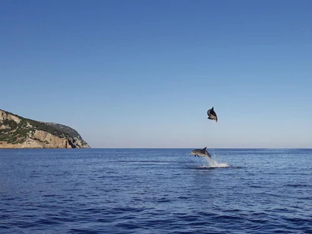 Gabbiano Azzurro Hotel & Suites — Attractions in the area in Golfo Aranci, Sardinia