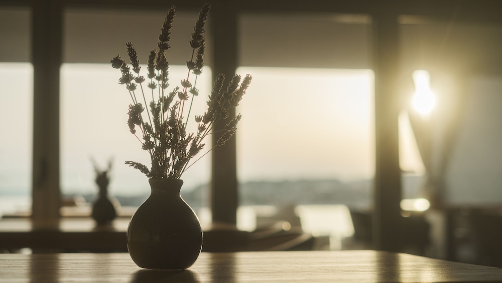 Hotel Split — Restaurant & bars in Podstrana, Split-Dalmatia