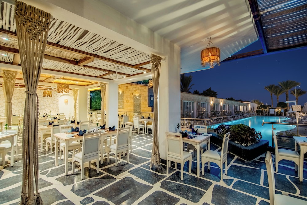 SUNRISE Aqua Joy Resort - All inclusive — Restaurant & bars in Hurghada, Red Sea