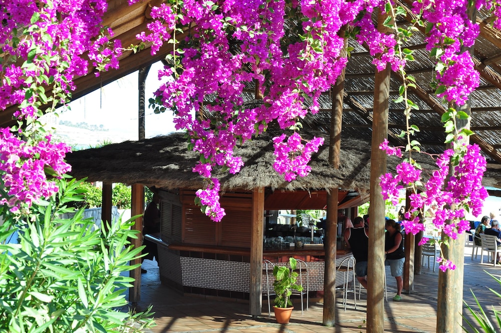 SBH Monica Beach Hotel — Restaurant & bars in Costa Calma, Canary Islands