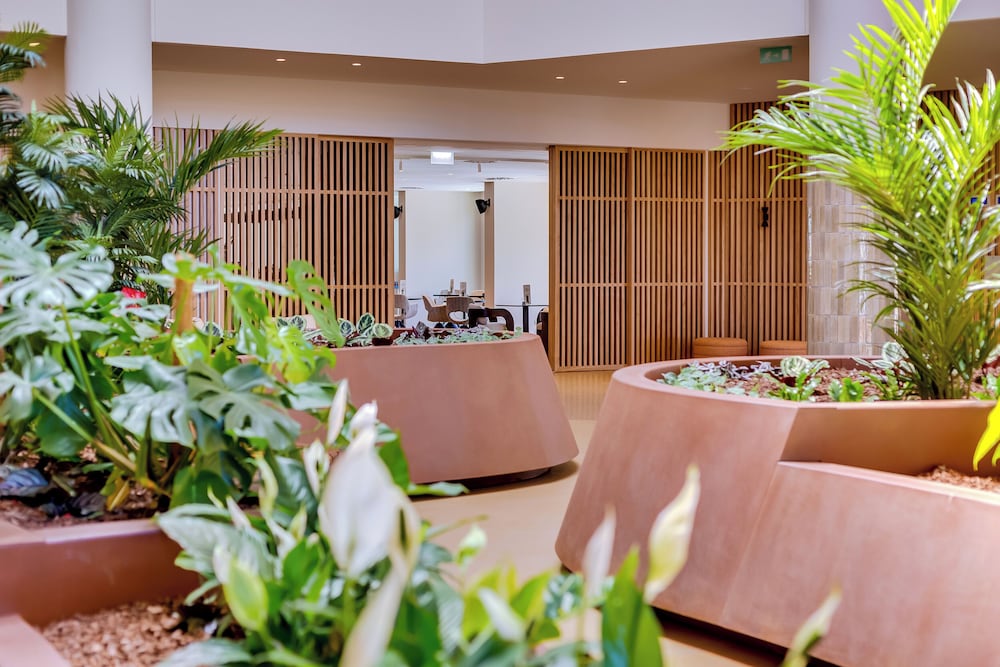Falésia Hotel - Adults Only — Shared spaces in Albufeira, Faro