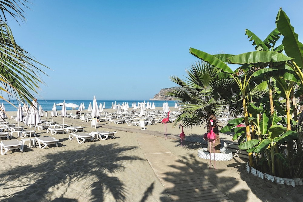 Blue Wave Suite Hotel - All Inclusive — Beach in Alanya