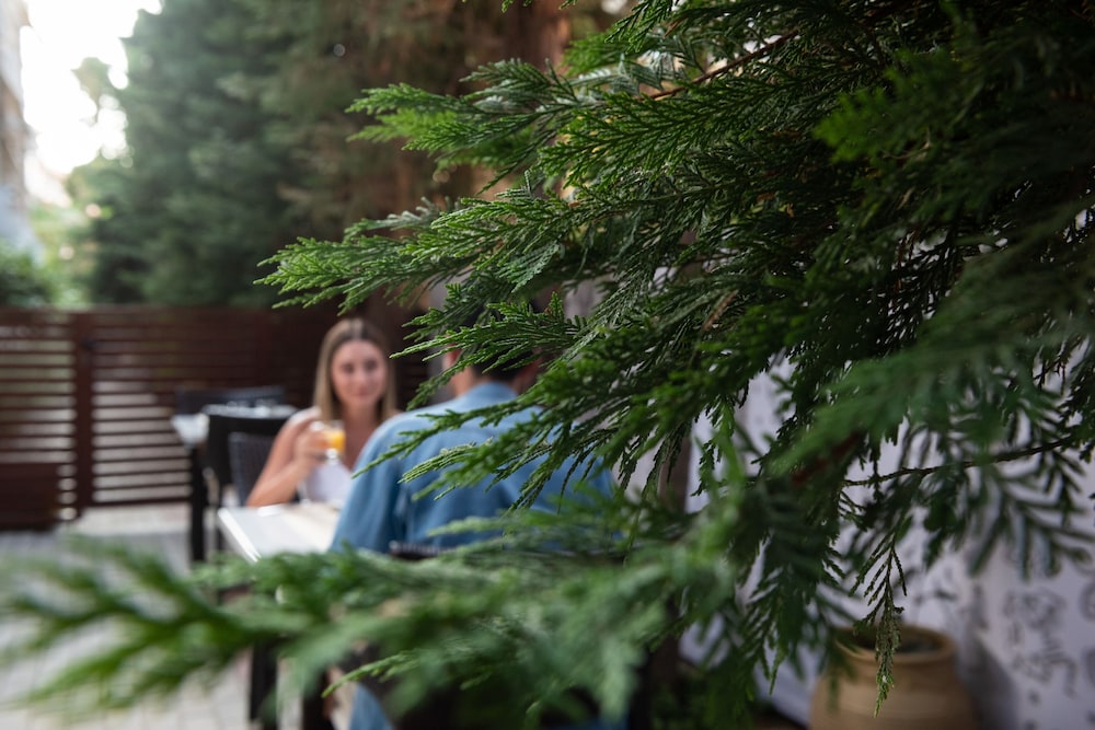 Hotel Galaxias — Restaurant & bars in Rhodes Town, South Aegean