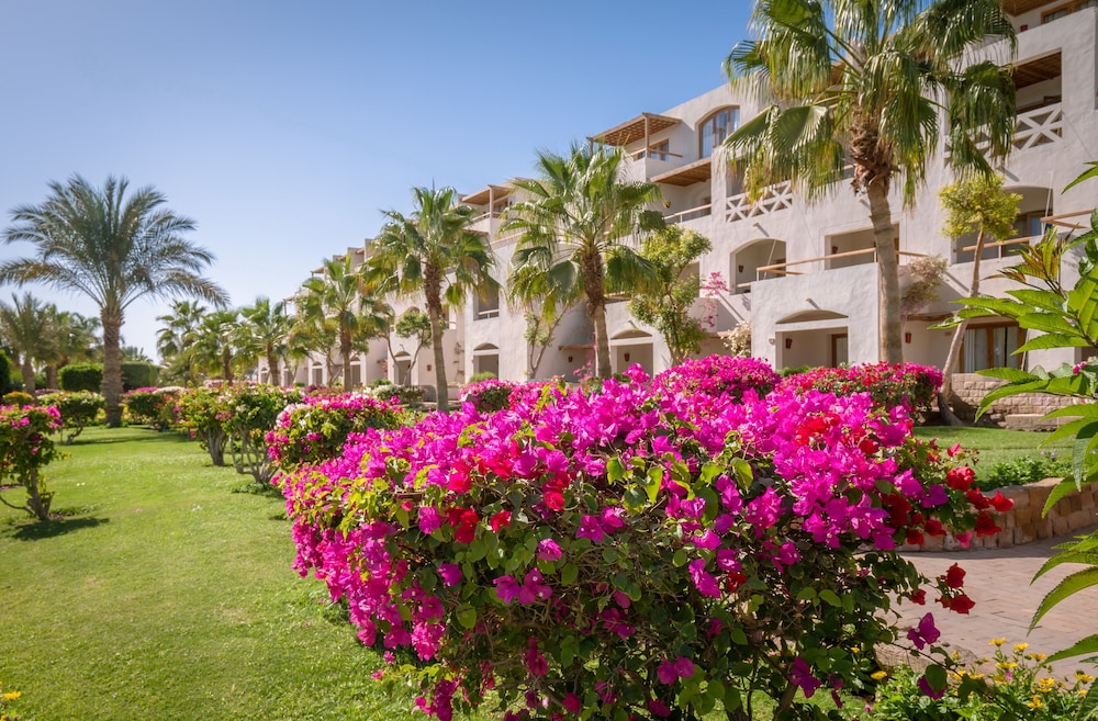 Fort Arabesque Resort, Spa & Villas — Hotel building in Makadi Bay, Red Sea