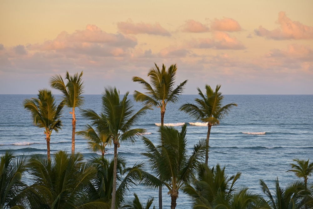 Iberostar Waves Dominicana - All Inclusive — Beach in Bavaro, La Altagracia