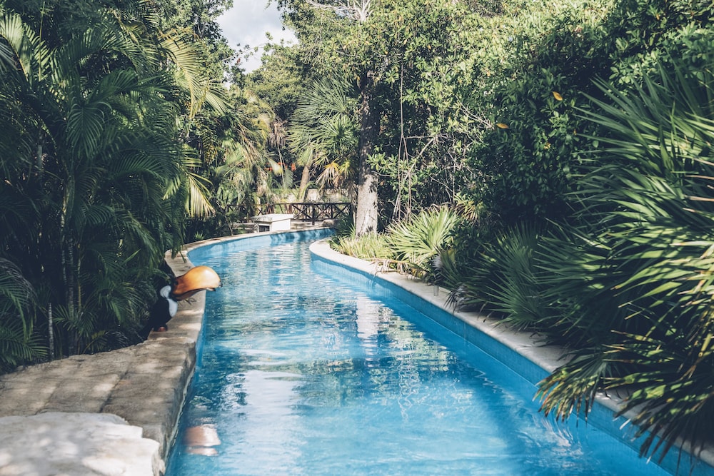 Iberostar Selection Paraíso Maya Suites - All Inclusive — Swimming pool in Playa del Carmen, Quintana Roo