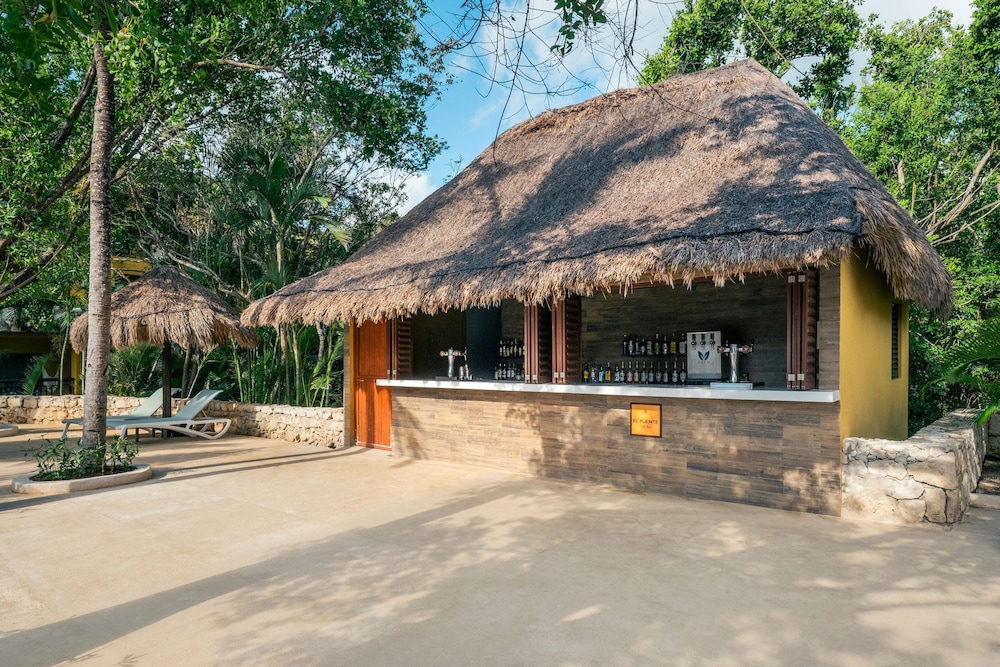 Iberostar Selection Paraíso Maya Suites - All Inclusive — Restaurant & bars in Playa del Carmen, Quintana Roo