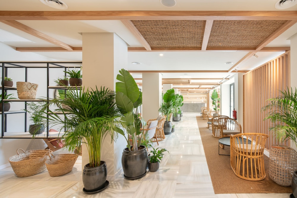 Hotel Edén Nord Soller — Hotel building in Puerto de Soller, Balearic Islands
