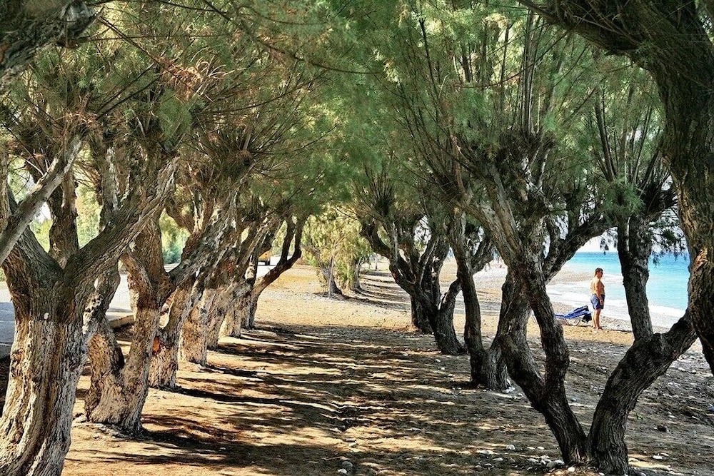 All Senses Ocean Blue Sea Side Resort & Spa By Anayia All Inclusive Resorts — Beach in Kremasti, South Aegean