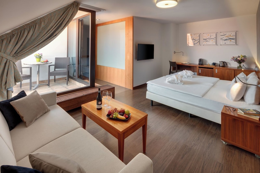 Hotel Carol — Hotel rooms in Prague, Prague