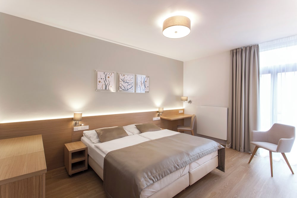 Hotel Carol — Hotel rooms in Prague, Prague