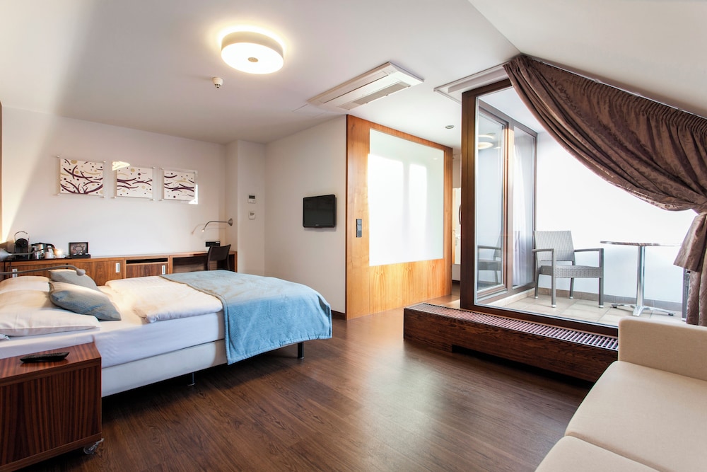 Hotel Carol — Hotel rooms in Prague, Prague