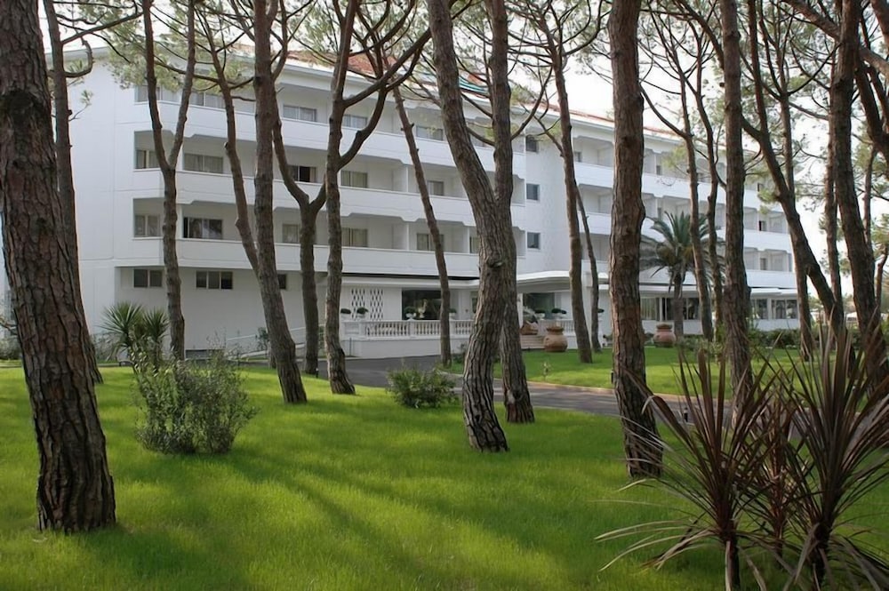 Domizia Palace Hotel - zdjęcie 2