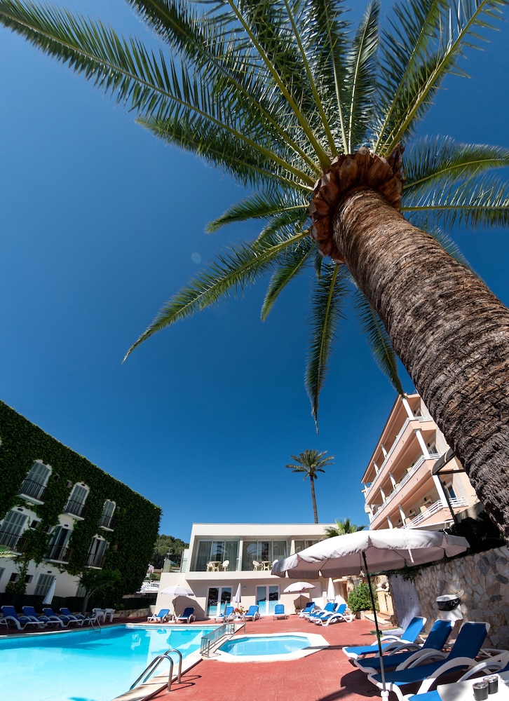 Hotel Venecia Paguera — Hotel building in Peguera, Balearic Islands