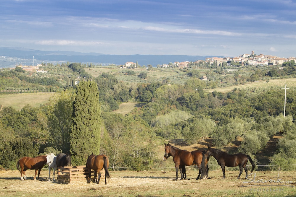 Tenuta Castellare di Tonda — Attractions in the area in Montaione, Tuscany