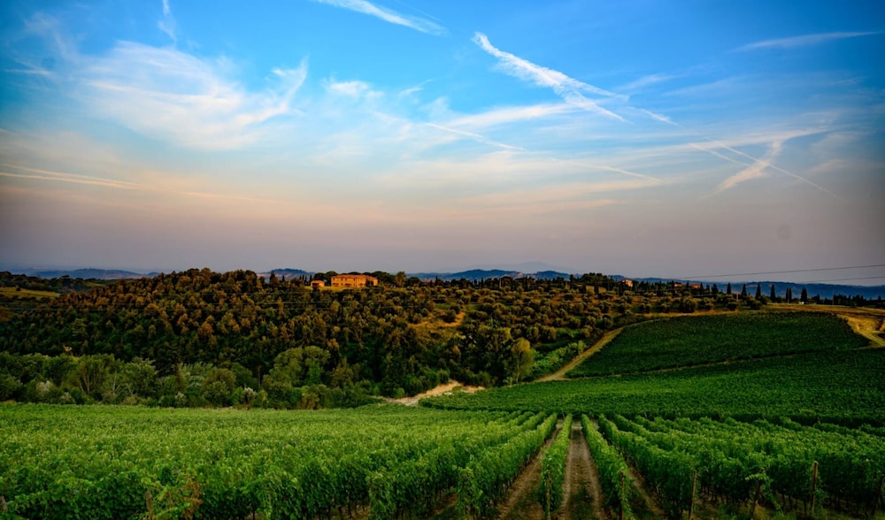 Tenuta Castellare di Tonda — Attractions in the area in Montaione, Tuscany