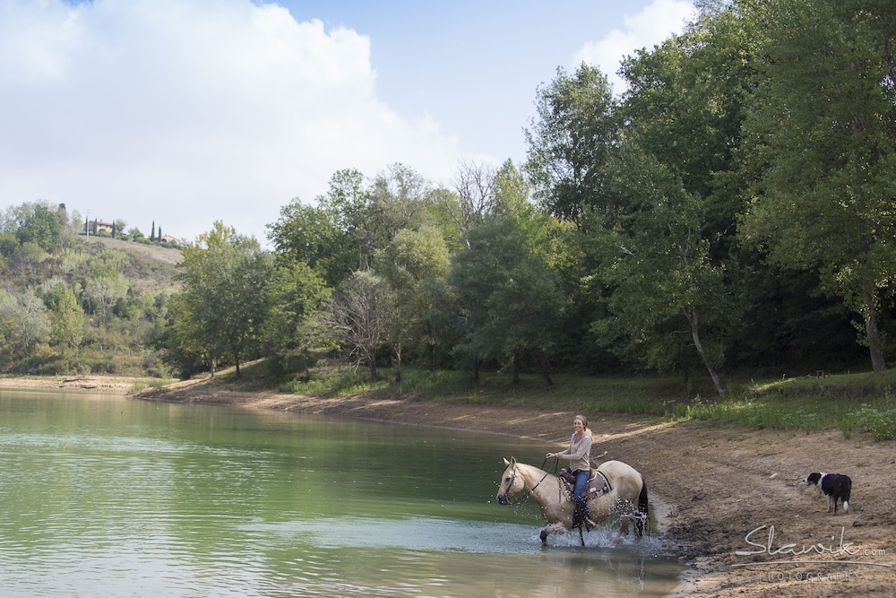 Tenuta Castellare di Tonda — Sports & recreation in Montaione, Tuscany