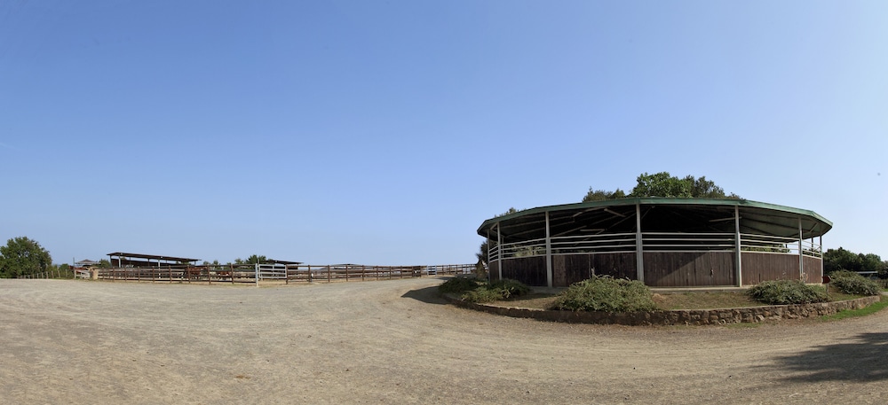 Tenuta Castellare di Tonda — Sports & recreation in Montaione, Tuscany