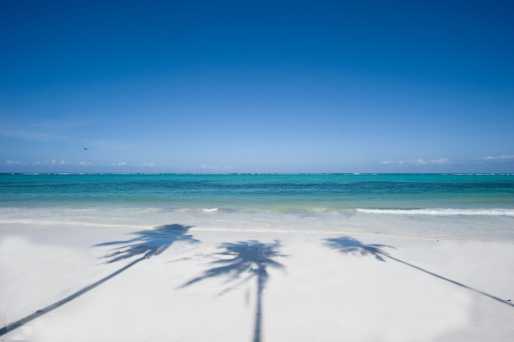 Breezes Beach Club & Spa – Half Board — Beach in Dongwe, Zanzibar South