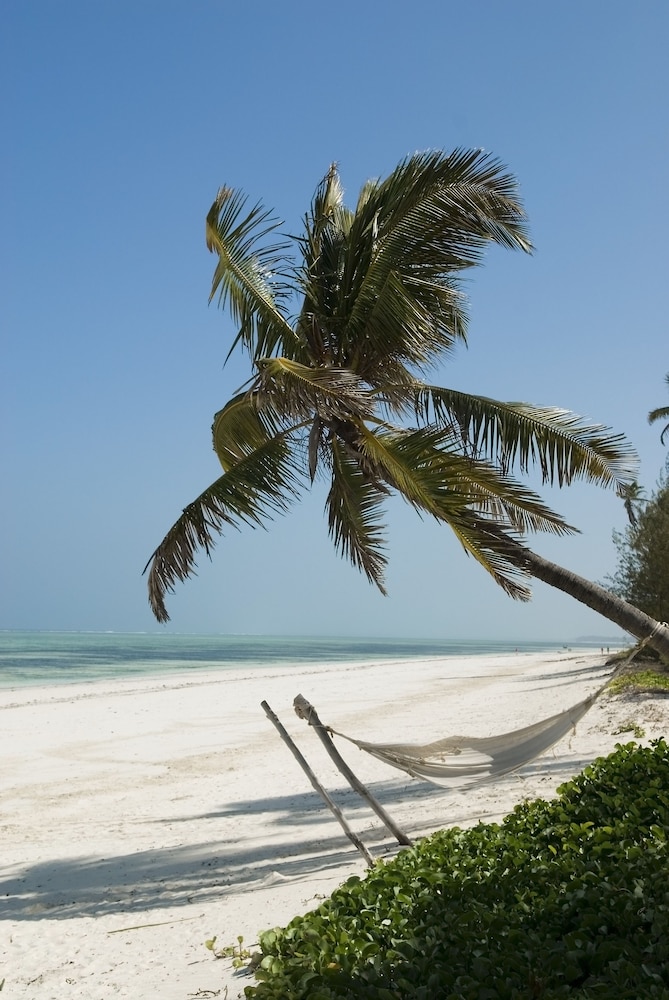 Breezes Beach Club & Spa – Half Board — Beach in Dongwe, Zanzibar South