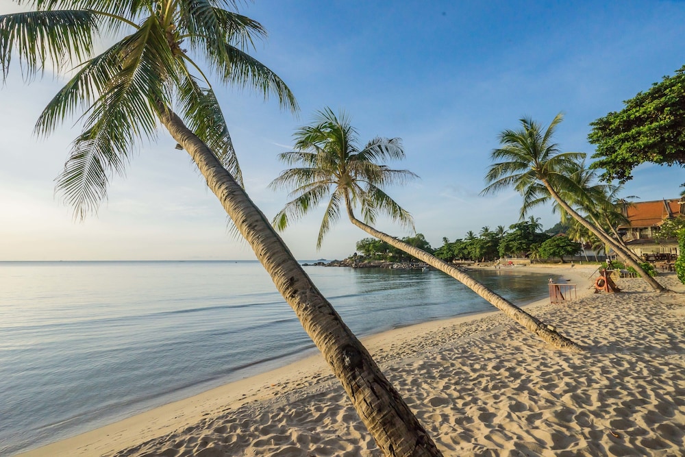 Samui Paradise Chaweng Beach Resort & Spa — Beach in Bo Phut, Surat Thani
