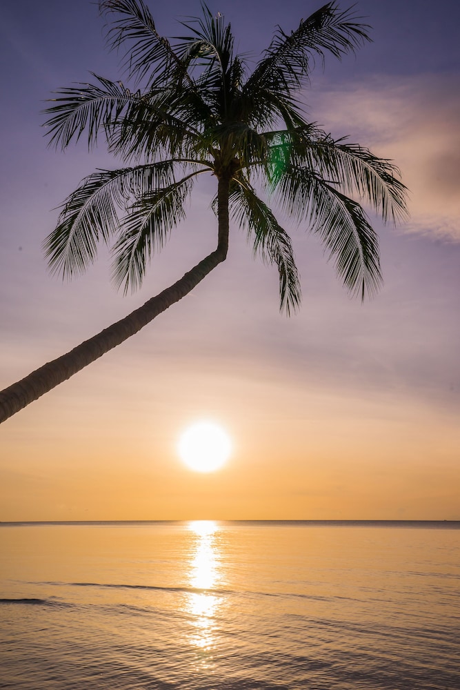 Samui Paradise Chaweng Beach Resort & Spa — Beach in Bo Phut, Surat Thani