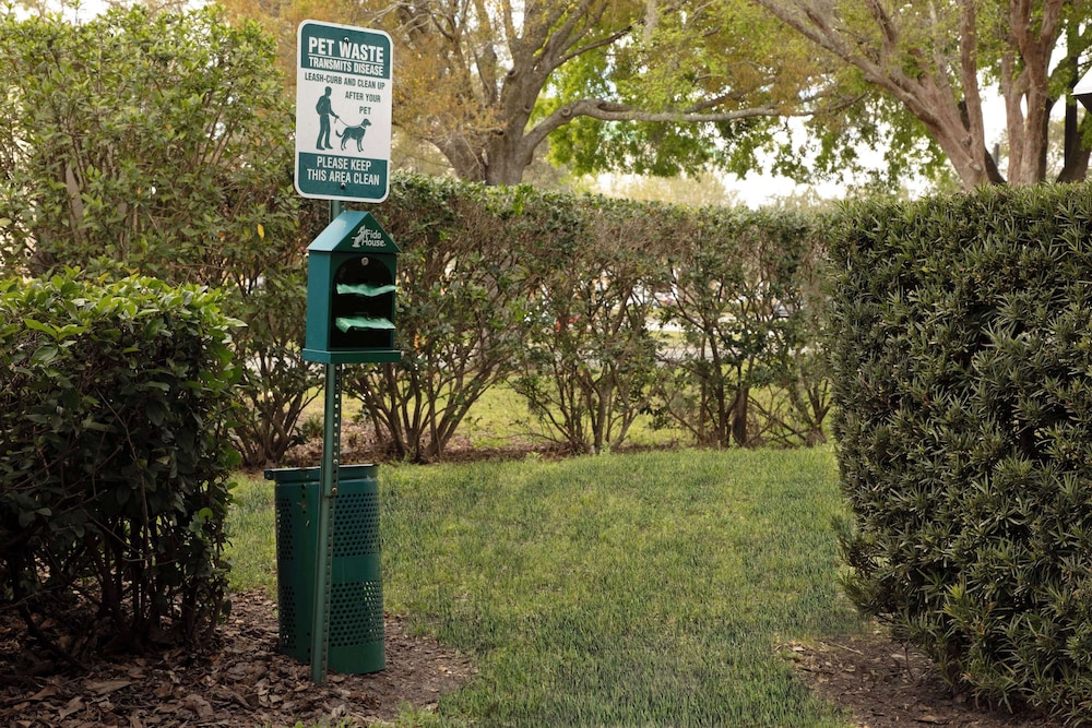 Homewood Suites by Hilton Orlando Airport — Attractions in the area in Orlando, Florida
