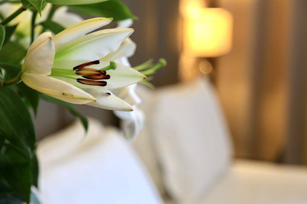 Klima Hotel Milano Fiere — Hotel rooms in Milan, Lombardy