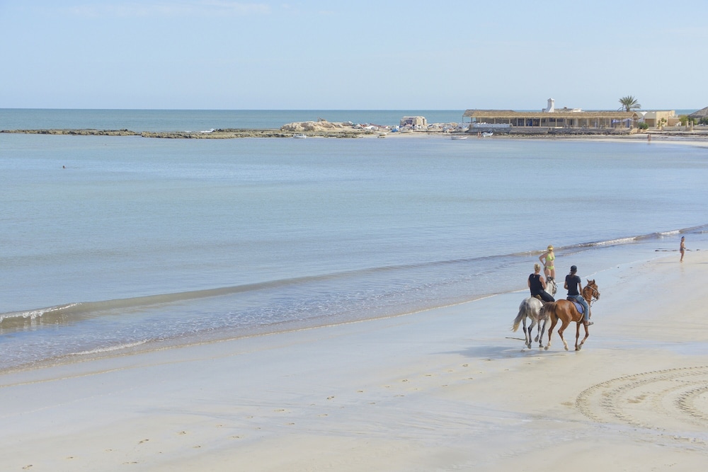 Monarque Dar Jerba Zahra — Beach in Midoun, Medenine