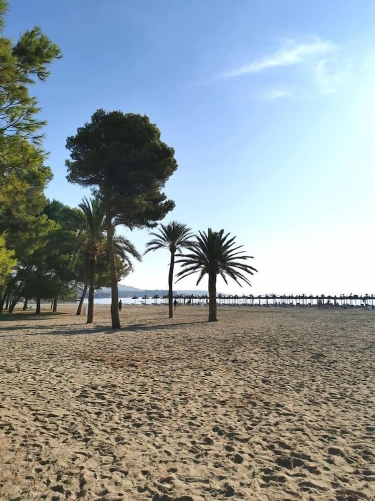Aquasol Aparthotel — Beach in Palma Nova, Balearic Islands