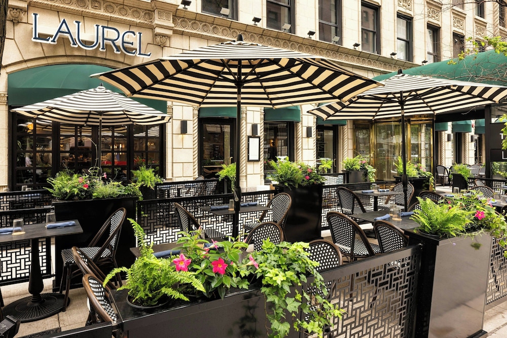 The Talbott, Autograph Collection — Restaurant & bars in Chicago, Illinois
