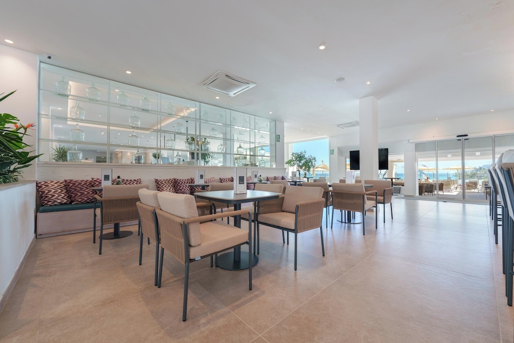 Globales Concord — Restaurant & bars in Can Picafort, Balearic Islands
