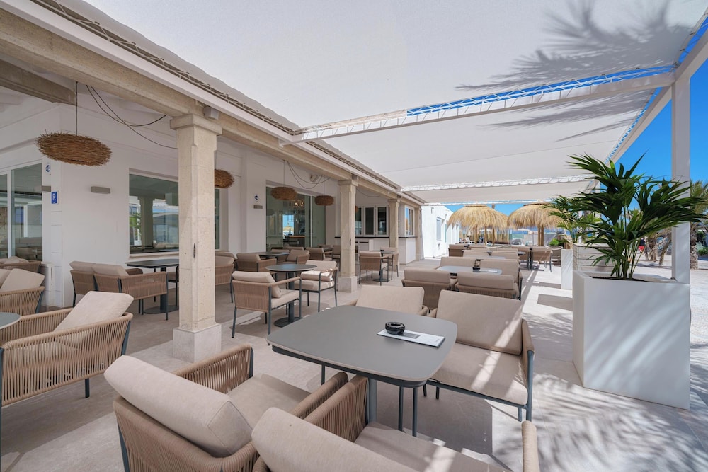Globales Concord — Restaurant & bars in Can Picafort, Balearic Islands