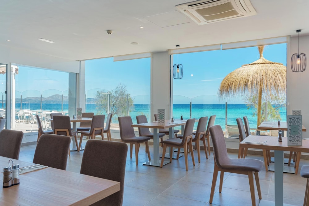 Globales Concord — Restaurant & bars in Can Picafort, Balearic Islands
