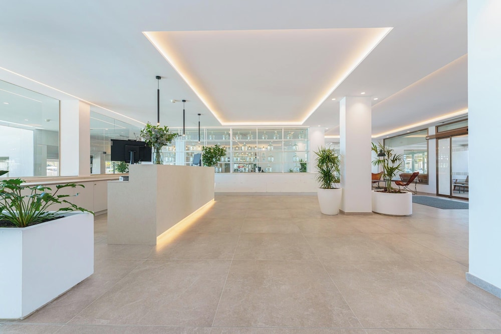 Globales Concord — Restaurant & bars in Can Picafort, Balearic Islands